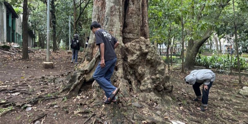 Aplikasi Koin Jagat Meresahkan Terancam di Blokir