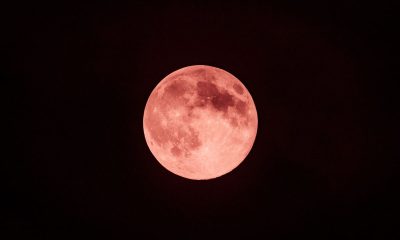 Bulan purnama kemerahan bersinar di langit gelap, ilustrasi Strawberry Moon 2025.
