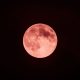 Bulan purnama kemerahan bersinar di langit gelap, ilustrasi Strawberry Moon 2025.