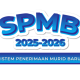 pendaftaran SPMB 2025 secara daring di laman resmi pemerintah daerah.